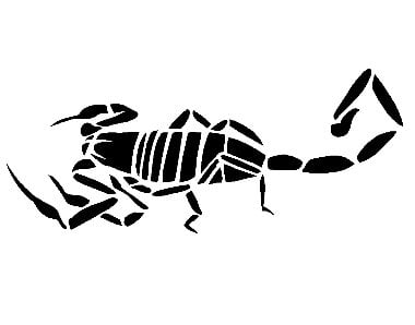 Scorpion decal 3