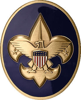 boy_scouts_of_america oval logo sticker