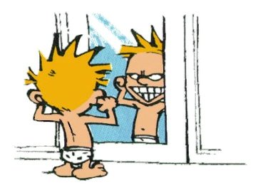 Calvin and Hobbes Rectangular Color Stickers 05