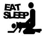 Eat Sleep Fuck Funny Vinyl Car Decal