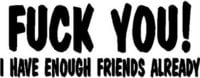 Fuck You, I have enough friends already, Vinyl cut decal