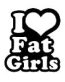 I Love Fat Girls Decal