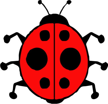Ladybug Decals 3