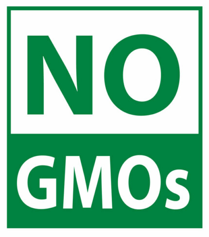 No GMOS SQUARE STICKER