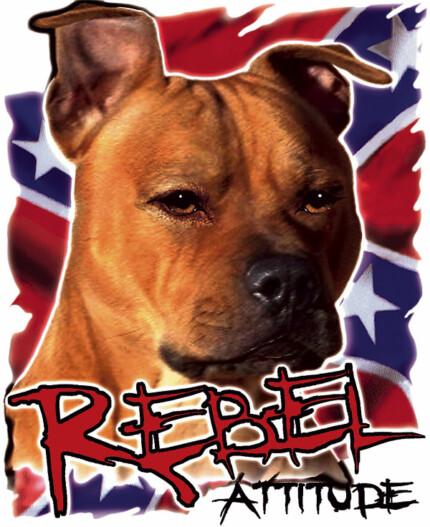 pitbull rebel attitude sticker
