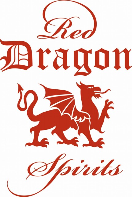 Red DRAGON Rectangular Decal