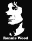 Ronnie Wood Die Cut Vinyl Decal Sticker
