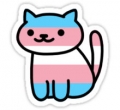 trans pride kitty sticke
