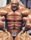 Xtreme Muscle Decal 2