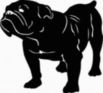 British Bull Dog Decal - 15F