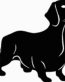 15J Dachshund Dog Decal