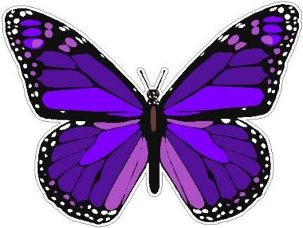 butterfly sticker PURPLE color