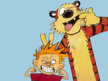 Calvin and Hobbs Rectangular Color Stickers 15
