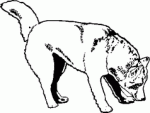Dog Breed Decal 20a