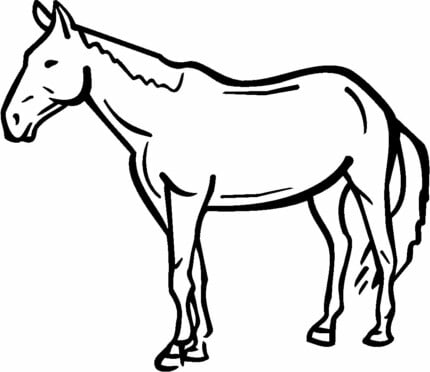 Horses Animal Vinyl Car or WALL Decal Stickers 02