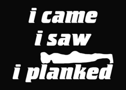 I Planked Die Cut Vinyl Decal Sticker