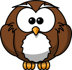 Owl Color Decal