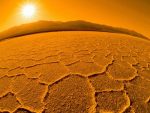 Sand and Deserts Vinyl Wall Graphics 40