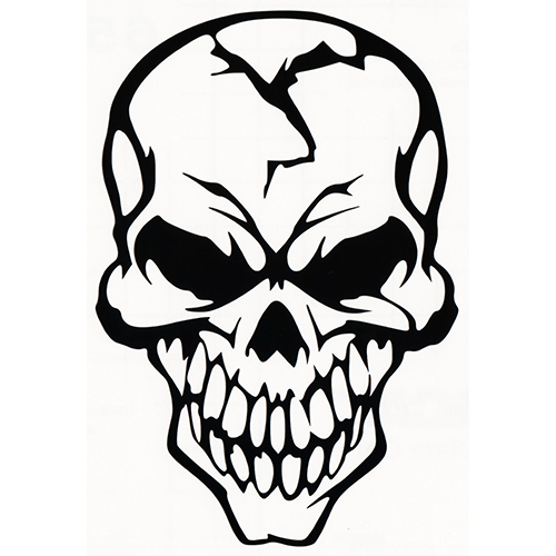 Skull 348 diecut decal